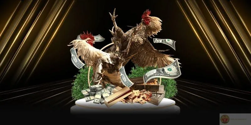 Đá Gà MB66 | Những Kinh Nghiệm Hữu Ích Dành Cho Người Mới